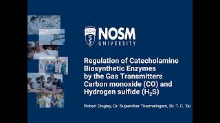 NHRC 2024 Theme 2 Regulation of Catecholamine Biosynthetic Enzymes DinglyR [upl. by Orimisac319]