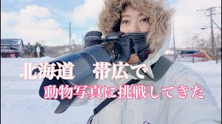 【撮ってみた】望遠で冬の北海道！動物、可愛い。89 [upl. by Rasla]