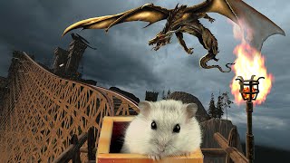 Hamster in Roller Coaster Maelstrom with dragon [upl. by Nadabb579]