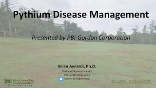 Pythium Disease Management [upl. by Ahcatan]