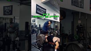 495 Bench youtubesubscribers chestworkout benchpress youtubeshorts chestday benchworkout gym [upl. by Inram]