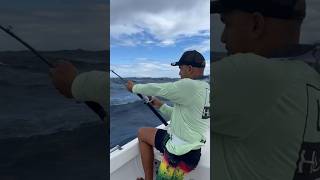 Blue Marlin Shimano Speed Master 12 laguaira fishing venezuela bluemarlin xtremefisherman [upl. by Mathilda297]