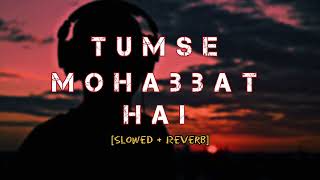 Tumse Mohabbat Hai Song  Slowed  Reverb  Love Song Romantic Lavkush kushwaha [upl. by Ellivnarg791]