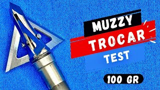 MUZZY TROCAR 100 gr Broadhead Test [upl. by Oidualc]