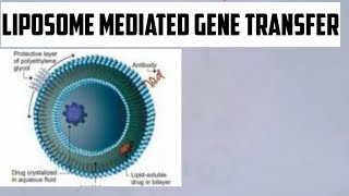 Method of gene transfer Lipofection Liposome mediated gene transferIn hindi and english [upl. by Emad]