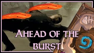 Hearthstone Ahead of the burst NZoth paladin [upl. by Ennaeel929]