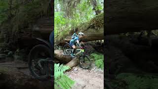 Learning to Ride a Bike on the Lewis River Trail in Gifford Pinchot [upl. by Mcafee867]