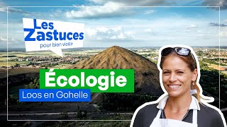 Les Zastuces à LoosenGohelle  Adopter des réflexes écologiques [upl. by Aivat217]