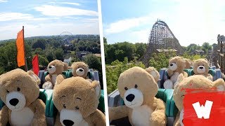 Knuffelberen in UNTAMED 🤣  Walibi Holland [upl. by Notxam]