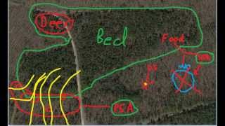 Understanding Buck Scrapes [upl. by Cynthy598]