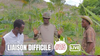 LIAISON DIFFICILE épisode  25 [upl. by Jahdal]