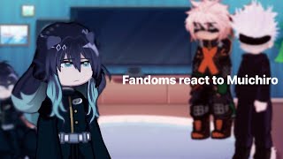 Fandoms react to Muichiro  Part 15  read desc [upl. by Etnahs]