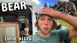 CLOSE Bear Encounter amp Cooking BBQ Chicken Pizza FAIL  SOLO Van Life [upl. by Enimajneb]