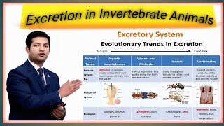 lec6excretion in invertebrates class 12 by pgc [upl. by Carol161]