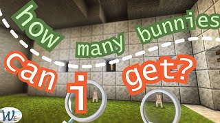 Creating a Bunny Farm in Minecraft Live Gameplay [upl. by Drageruaeb725]