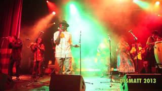 THOMAS MAPFUMO  SHUMBA LIVE LONDON 2013 [upl. by Maxy936]