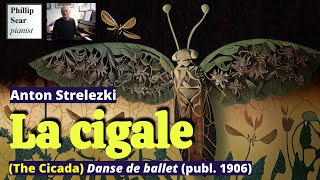 Anton Strelezki La cigale The Cicada [upl. by Neufer]