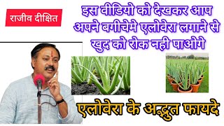 एलोवेरा के अद्भुत लाभ Rajiv Dixit on aloe vera [upl. by Esinrahs]