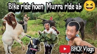 BIKE LIYARA JUNGLE UNCLE amp MEhighlights gau newvlog vairalvideo support chill [upl. by Theresina822]