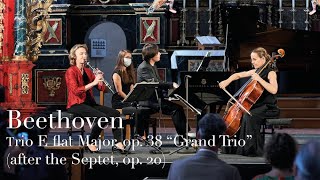 Beethoven Trio E flat Major “Grand Trio”  Sabine Meyer  SeongJin Cho [upl. by Dyal]