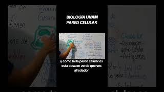 BIOLOGÍA UNAMPARED CELULAR vamospor120 biologia examenunam PAREDCELULAR [upl. by Ahsemrak]