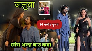 Biraj Bhatta and Samir Bhatta 12 Gau Movie INCOME  12 Gau Movie Box Office New Video [upl. by Zemaj316]