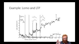 Electrophysiology 6  Interpretation of Extracellular data [upl. by Adnauq]