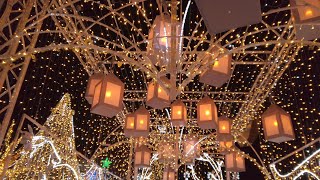 Amaze Light Festival In Rosemont Illinois  4K [upl. by Pironi]