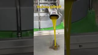 The Journey of Olive Oil olive oliveoil [upl. by Llehsyt656]