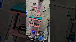 NICU CARE IN NEWBORN BABY MrBeast Newborncarejammu mrbeast newborn kids hospital nicu [upl. by Ainezey]