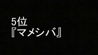 「坂本真綾」 おすすめソング ランキング [upl. by Akemahs]