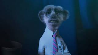 Meerkat Movies Carl and Sergei Compliation [upl. by Cully]