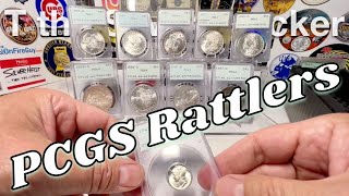 PCGS Rattlers  History Market and Why Collectors Love Them [upl. by Edmondo]