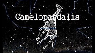 The Camelopardalis constellation Information history [upl. by Alecia]