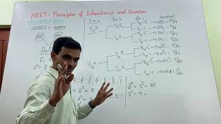 NEET Easy method for Trihybrid cross [upl. by Cott]