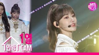 슈퍼콘서트직캠4K 아이즈원 미야와키 사쿠라 공식 직캠 비올레타Violeta IZONE MIYAWAKI SAKURA Official FanCam [upl. by Assenahs]