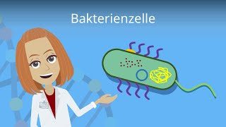 Bakterienzelle  Aufbau amp Funktion einfach erklärt  Studyflix [upl. by Delphine867]