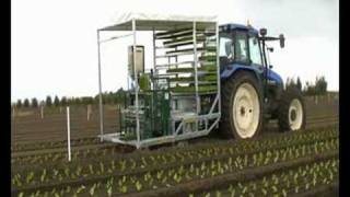 Transplant Systems Australia Vegetable Transplanting can be fun [upl. by Meares]