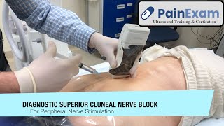 The Ultrasound Guided Superior Cluneal Nerve Block Claim 1 CME Credit [upl. by Anaitat]