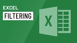 Excel Filtering Data [upl. by Nauquf]