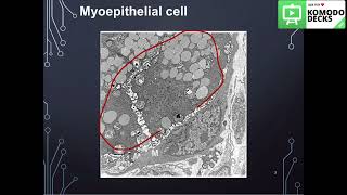 Salivary gland Histology practical part 1 [upl. by Anaid]