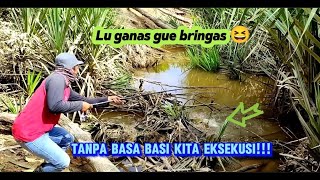 Mancing ikan di Sungai Tak Peduli Apa Aja Yang Makan Umpan Pokoknya Langsung Sikat [upl. by Andrews]