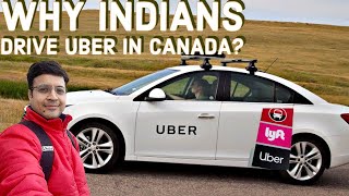 Why Indians Drive Uber In Canada Canada vlog [upl. by Olimreh]