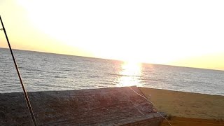 Myrtle beach pier fishing [upl. by Nabroc]