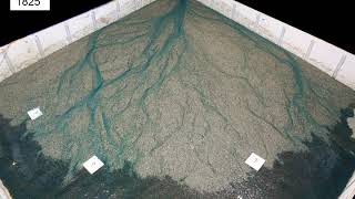 Alluvial fan experiment with oscillating flow ft clock [upl. by Artemed498]