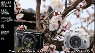 Canon PowerShot G7 X MarkⅡとCanon EOS Kiss X7 持ち歩きカメラにするならどっちがいいんだろう？ [upl. by Annawoj]