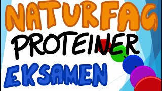 Naturfag muntlig eksamen  Næringsstoffene Proteiner [upl. by Aylmer303]