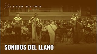 Orquesta Alma Llanera de Guárico [upl. by Nillek]