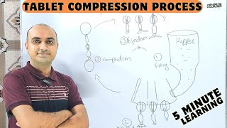 Tablet Compression Process [upl. by Seraphim]