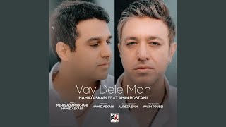 Vay Dele Man feat Amin Rostami [upl. by Demetra889]